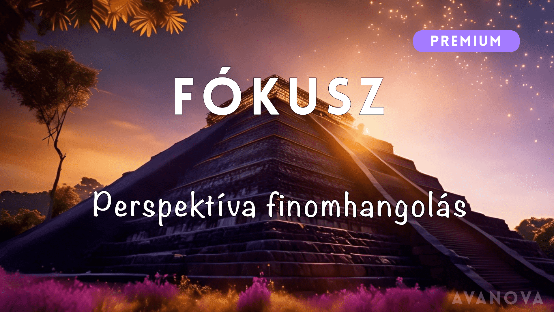 14. Fókusz